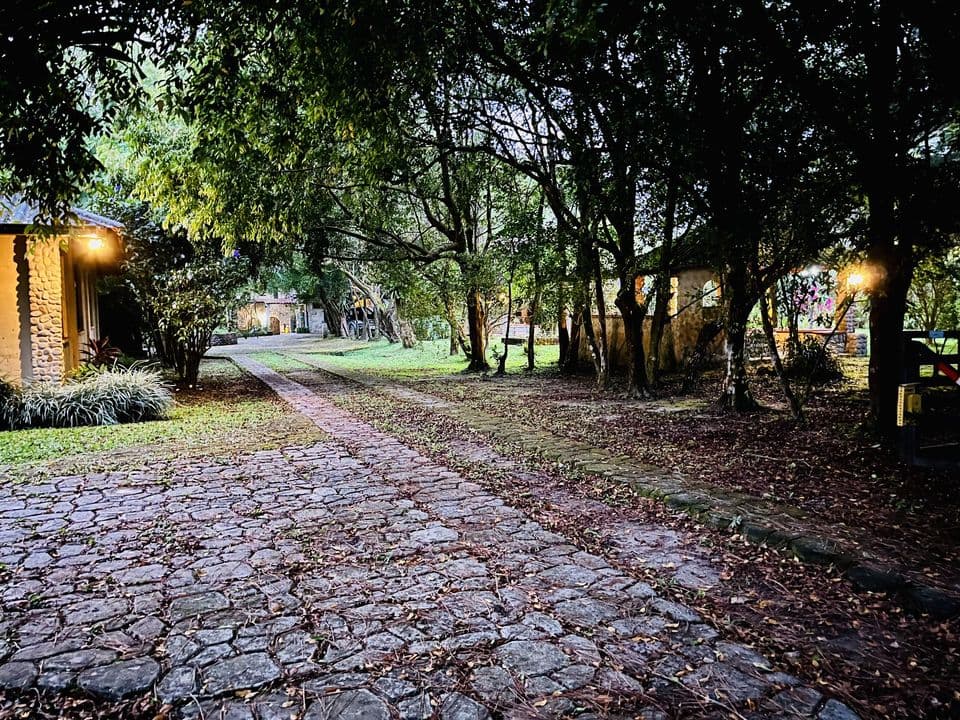 El camino de piedra entre árboles, con faroles encendidos al atardecer